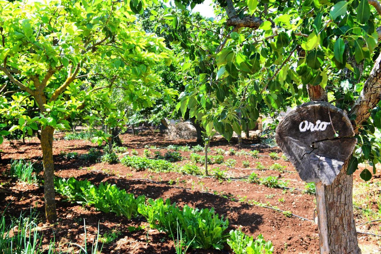 Masseria Peppeturro ชิสแตร์นีโน ภายนอก รูปภาพ