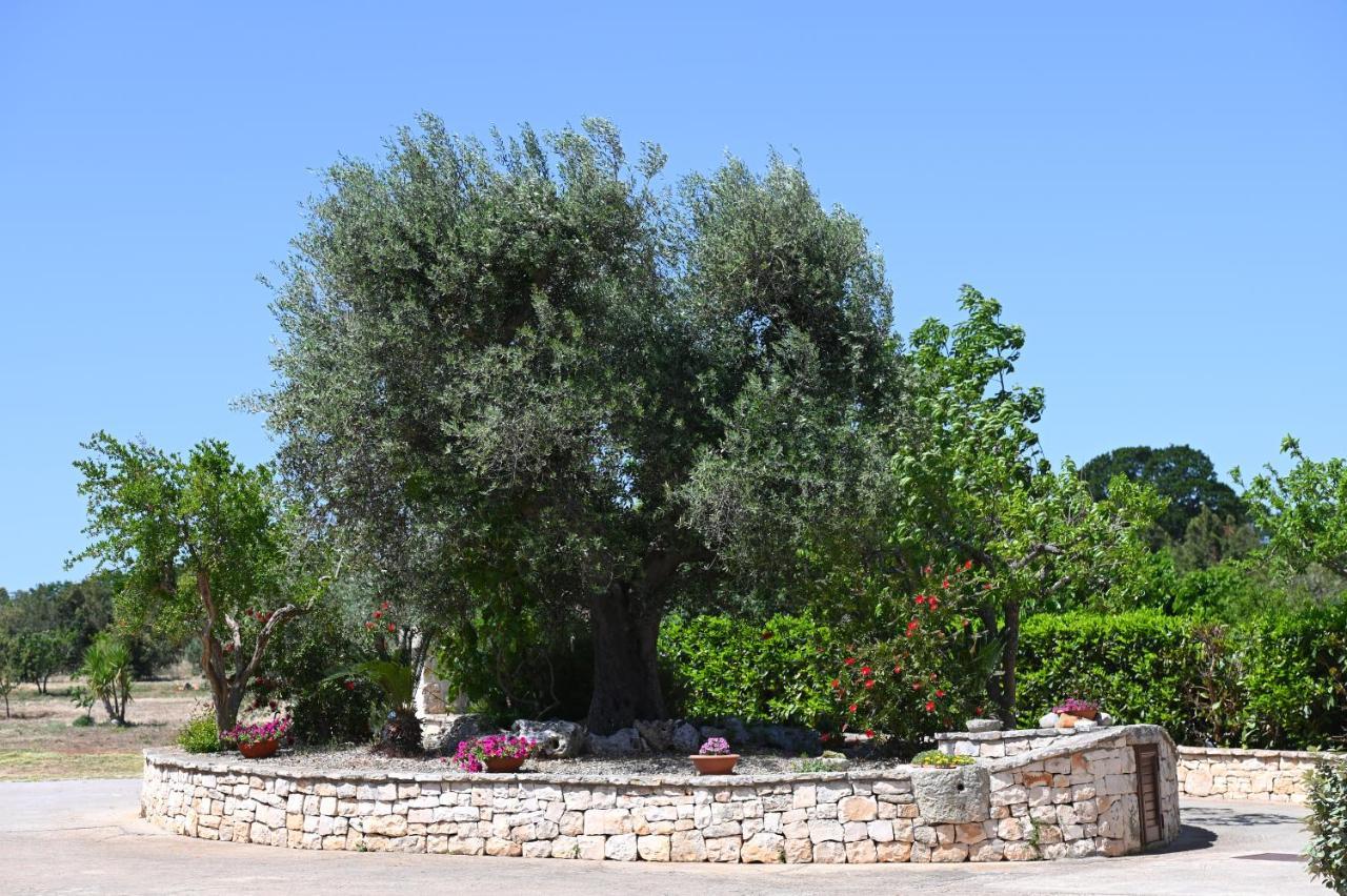 Masseria Peppeturro ชิสแตร์นีโน ภายนอก รูปภาพ
